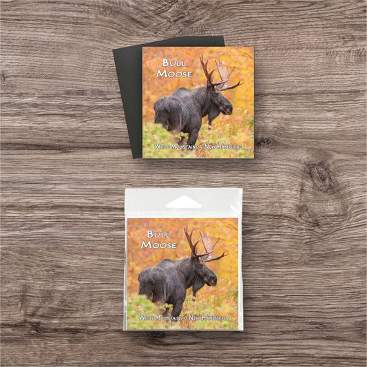 Bull Moose Autumn Magnet